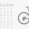 Wilier Rave SLR Frameset detail