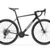 Basso Palta III Campagnolo Record X in Carbon Chrome with Microtech Omnia wheels