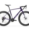 Basso Palta III Campagnolo Record X in Deep Orbit with Campagnolo Zonda Carbon wheels